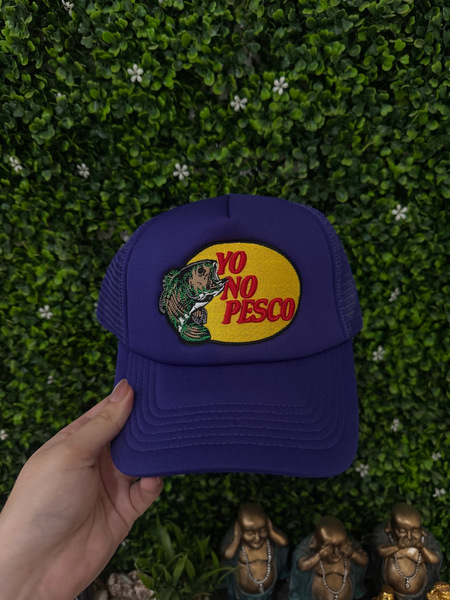 Yo no pesco morada